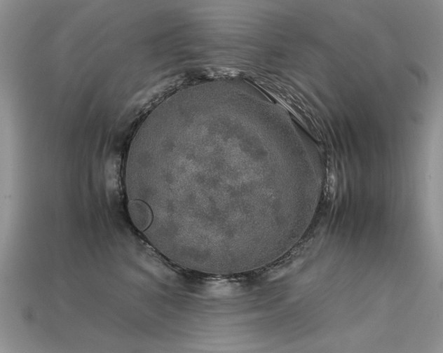 X0000113600616200909181353