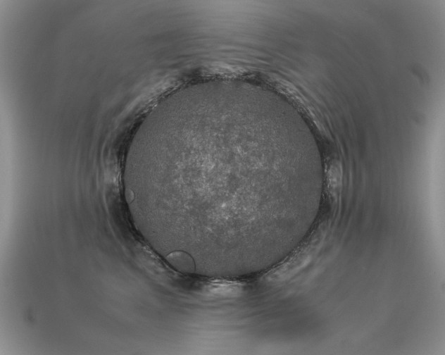 X0000113600617200909181353