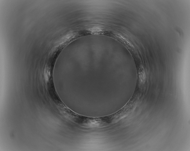 X0000113600618200909181353