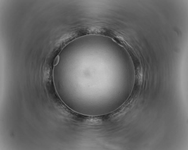 X0000113600619200909181353