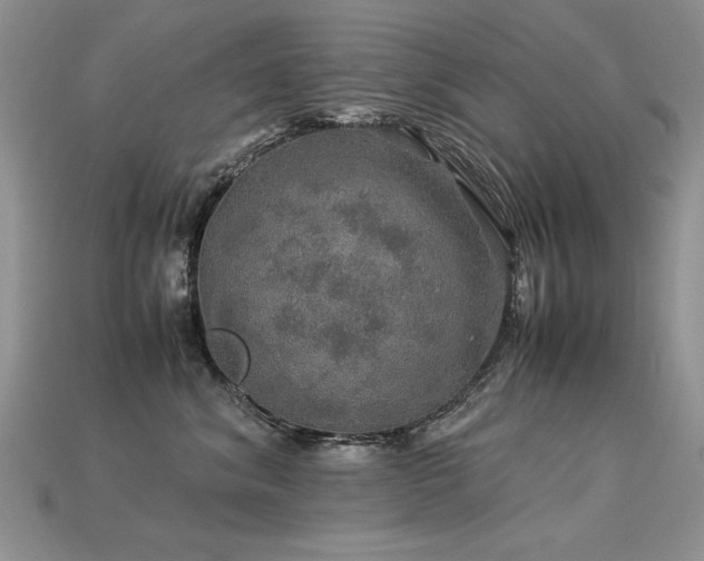 X0000113600620200909181353