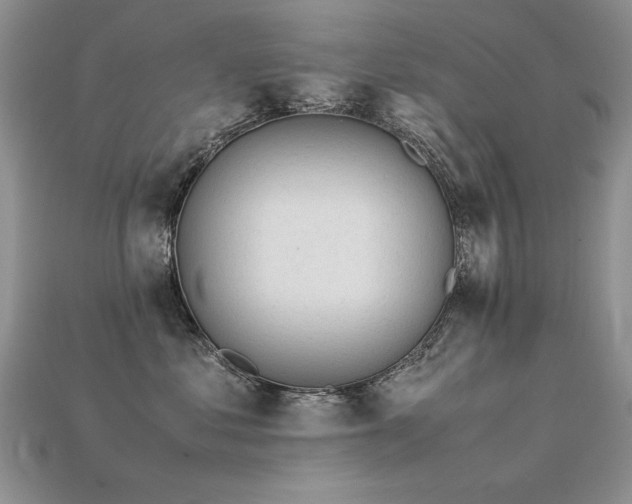 X0000113600621200909181353