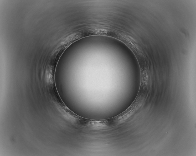 X0000113600622200909181353