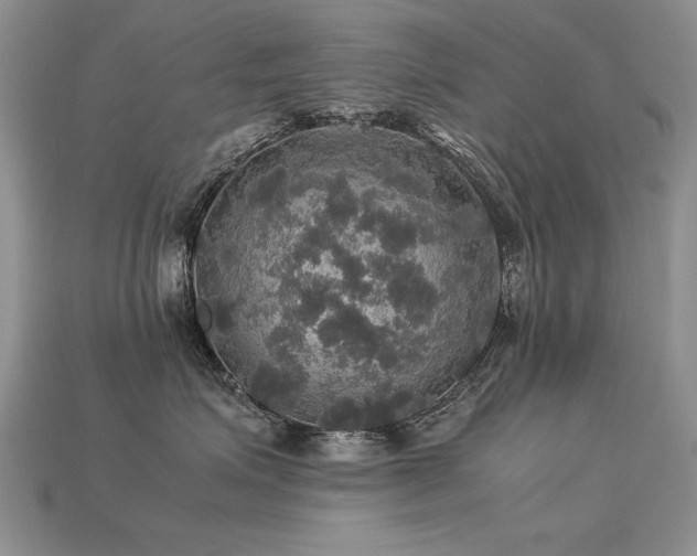 X0000113600623200909181353