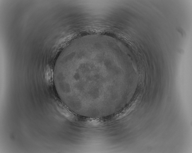 X0000113600624200909181353