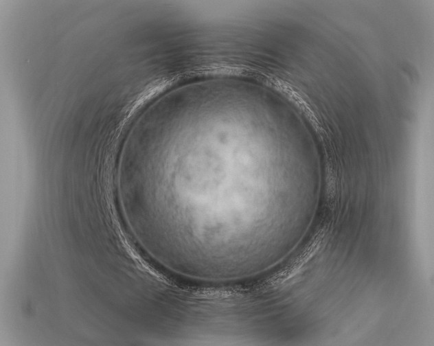 X0000113600625200909181352