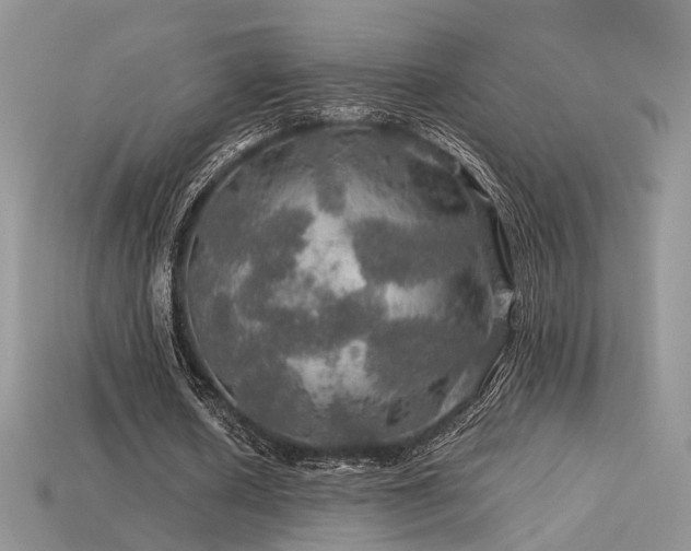 X0000113600626200909181352