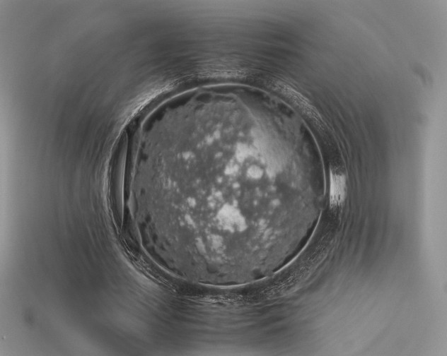 X0000113600627200909181352