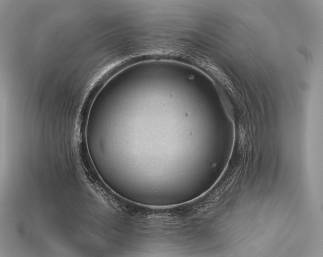 X0000113600628200909181352