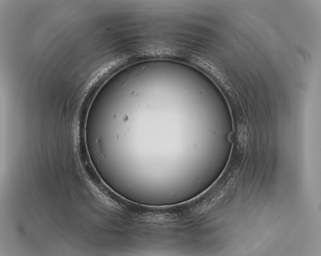 X0000113600629200909181352