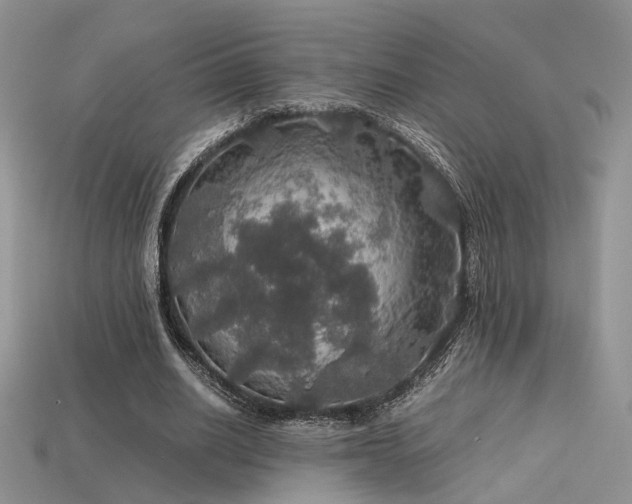 X0000113600630200909181352