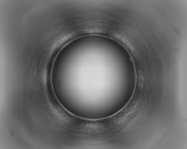 X0000113600631200909181352