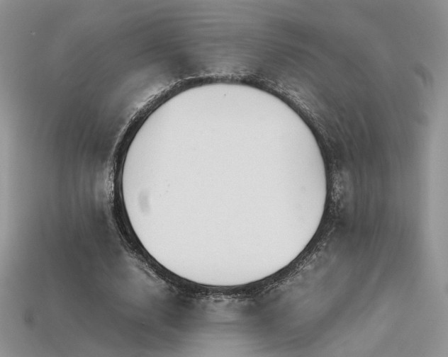 X0000113600632200909181352