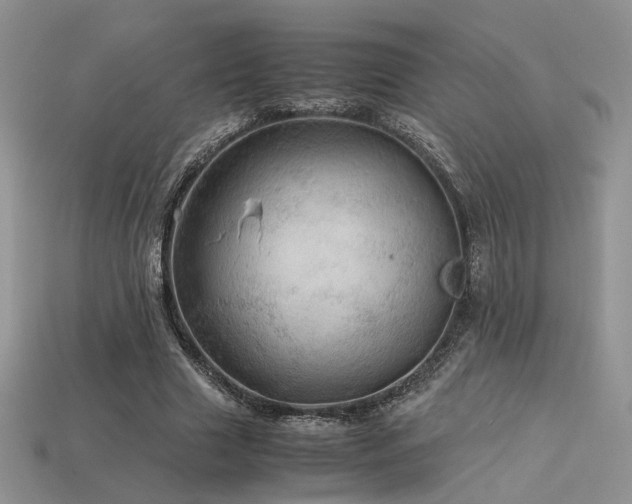 X0000113600633200909181352