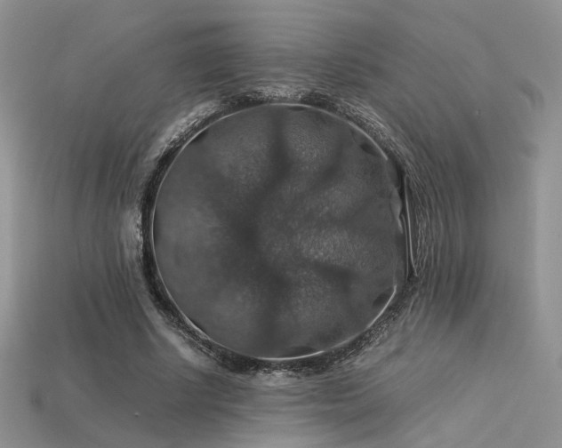 X0000113600634200909181352