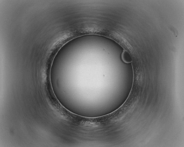 X0000113600635200909181352