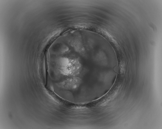 X0000113600637200909181352