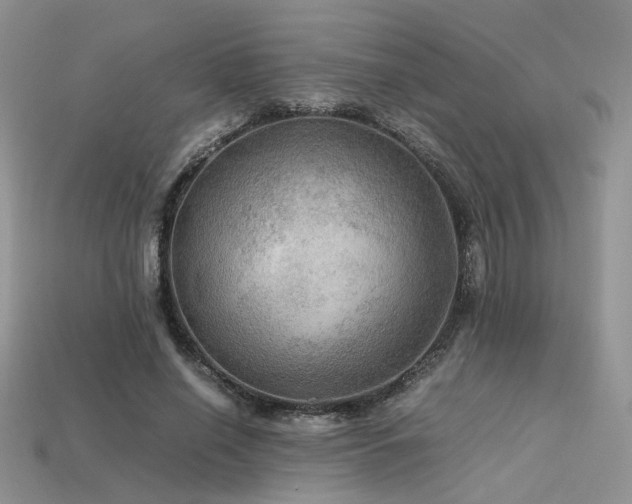 X0000113600638200909181352