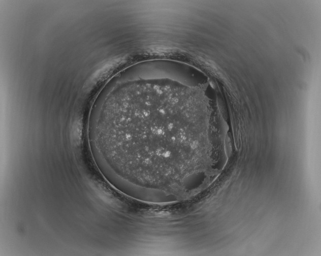 X0000113600640200909181352