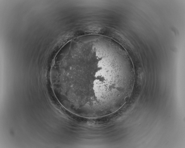 X0000113600641200909181352