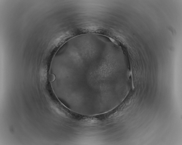 X0000113600642200909181352