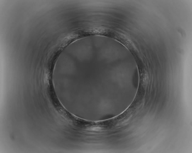 X0000113600643200909181352