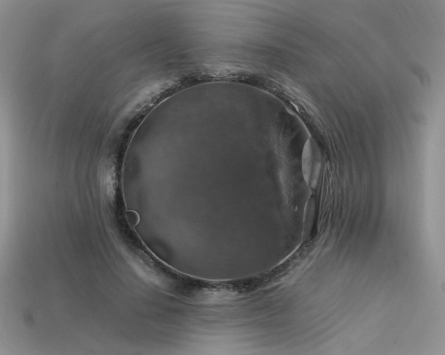 X0000113600644200909181352