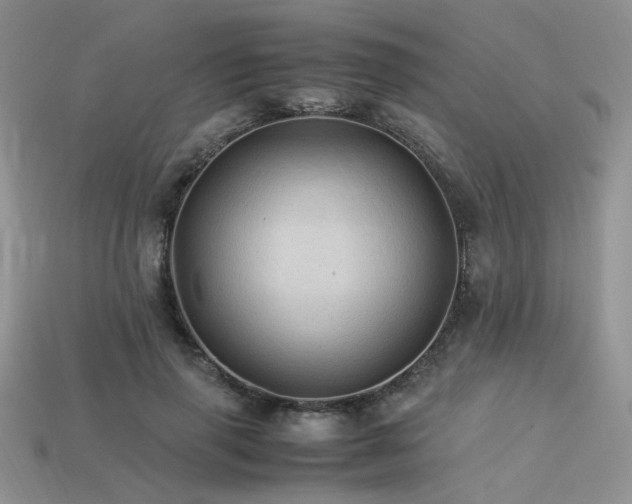 X0000113600645200909181352