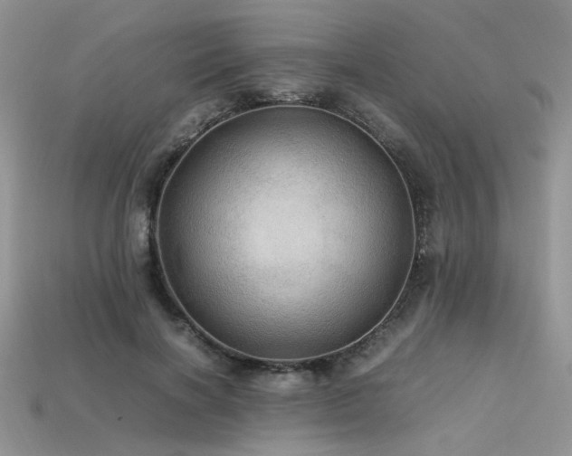 X0000113600646200909181352