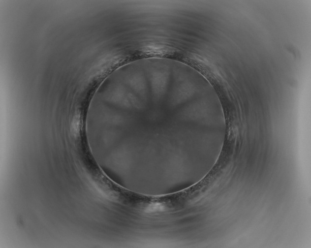 X0000113600647200909181352