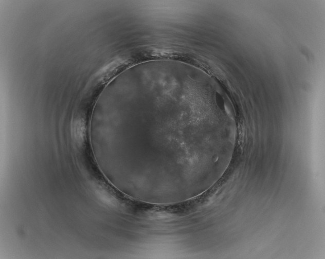 X0000113600648200909181352