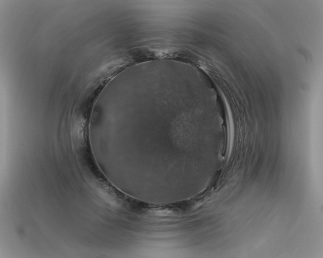 X0000113600650200909181353