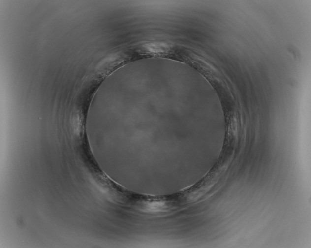 X0000113600651200909181353