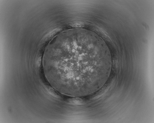 X0000113600652200909181353