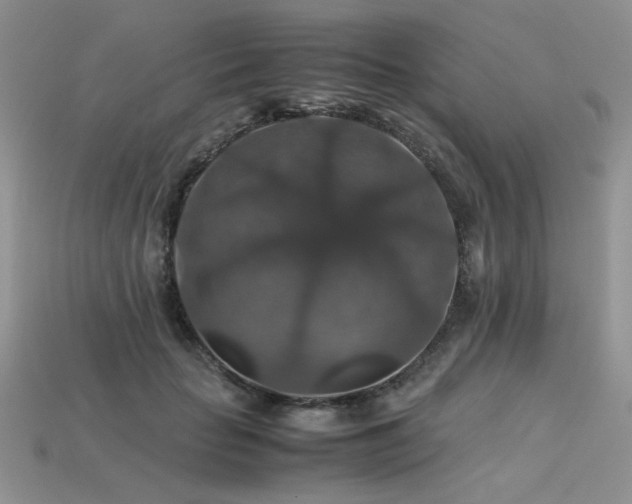 X0000113600653200909181353