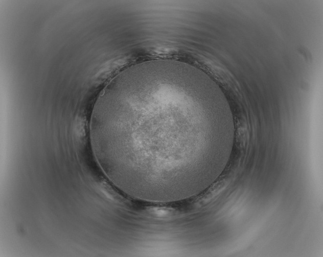 X0000113600654200909181353