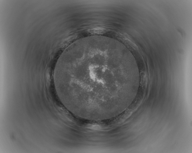 X0000113600655200909181353