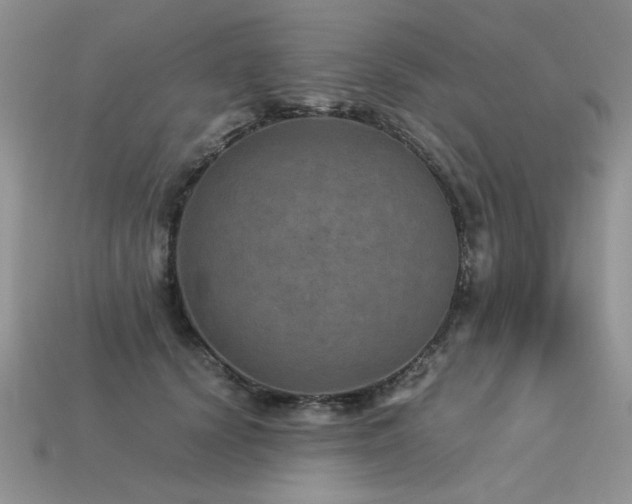 X0000113600656200909181353