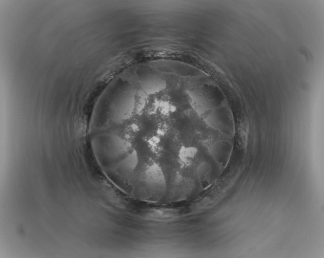 X0000113600657200909181353