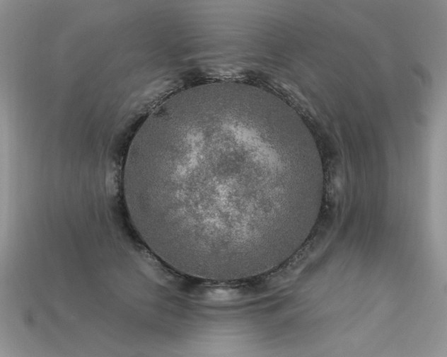 X0000113600658200909181353