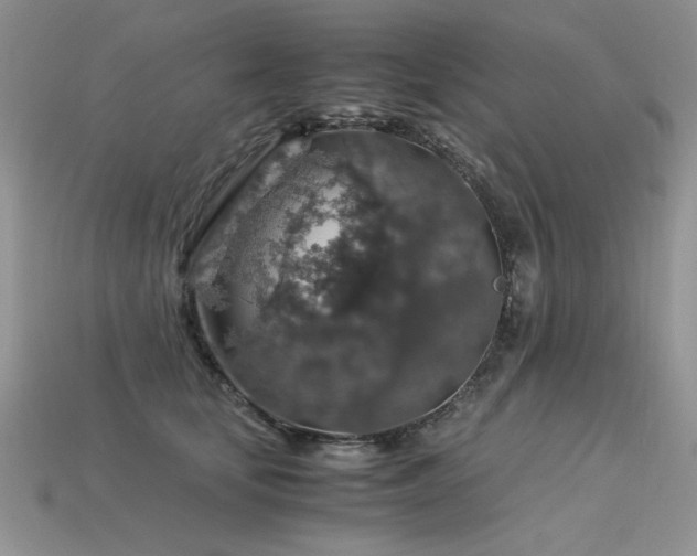 X0000113600659200909181353