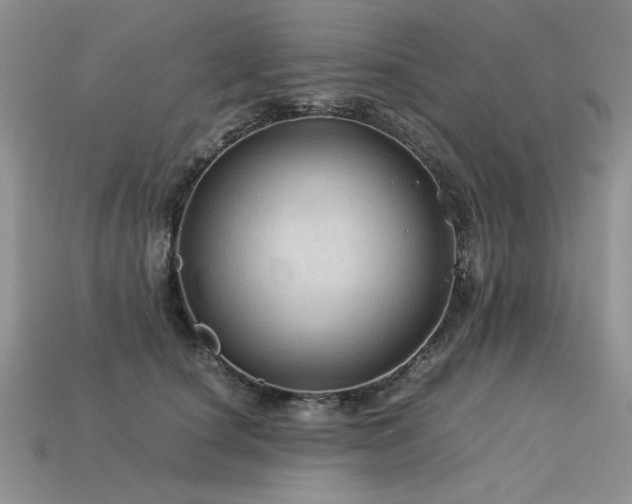 X0000113600660200909181353