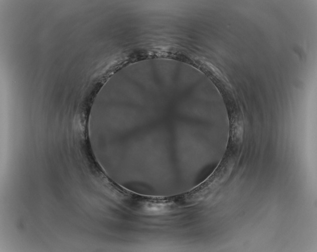 X0000113600661200909181353