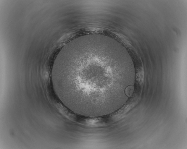 X0000113600662200909181353