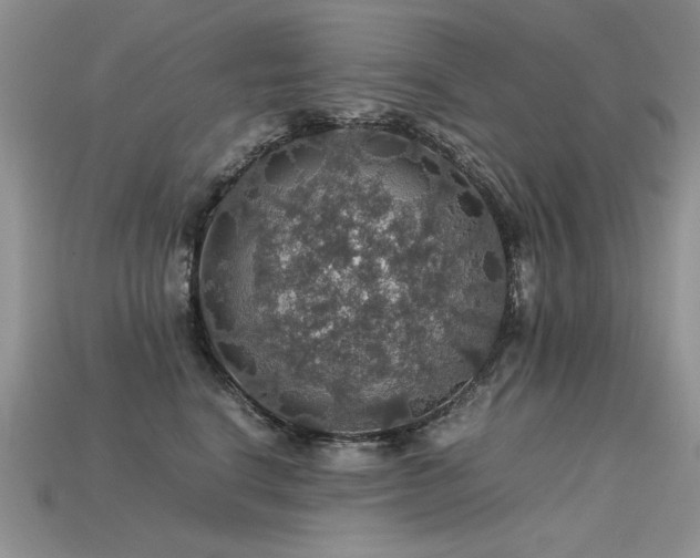 X0000113600664200909181353