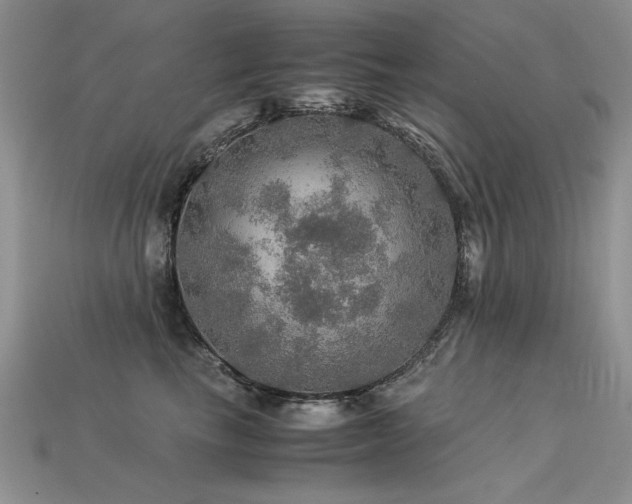 X0000113600665200909181353