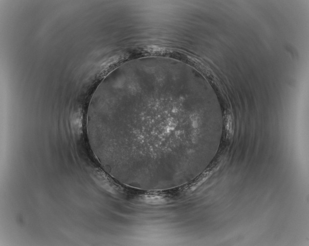 X0000113600668200909181353