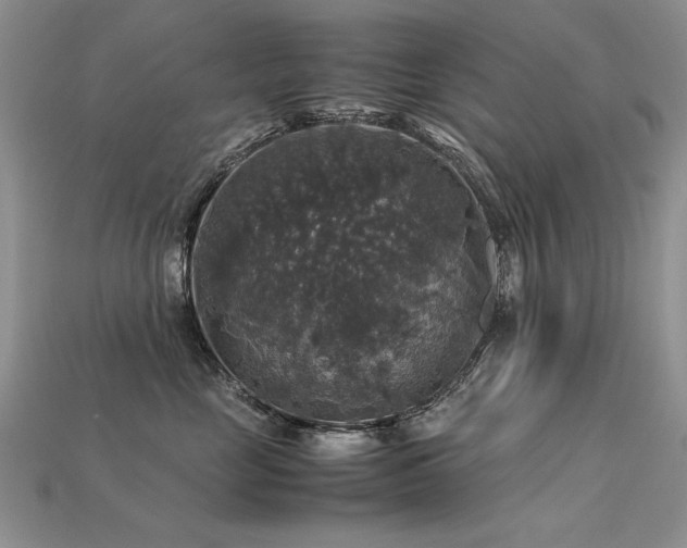 X0000113600669200909181353