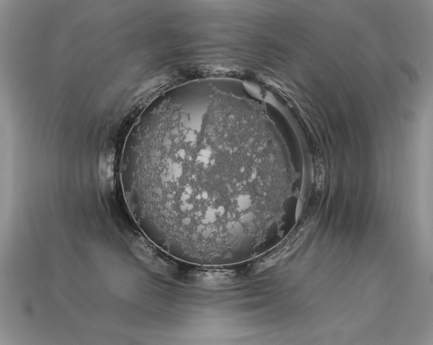 X0000113600670200909181353