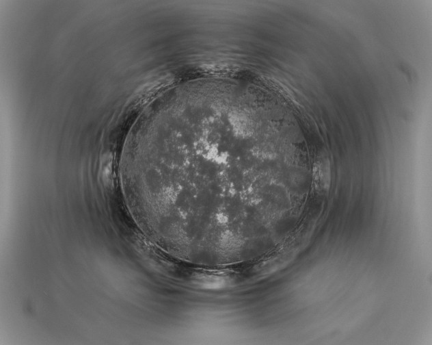 X0000113600671200909181353